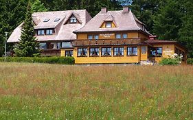 Hotel Peterle Feldberg